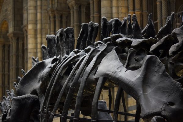 What kids learn at museums