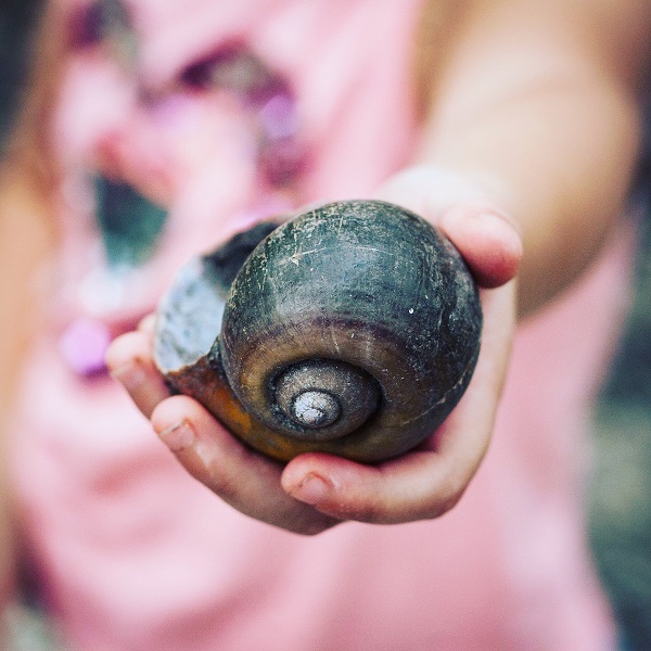 Top 3 Steps Parents Should Take to Encourage Curiosty and a Love of Learning